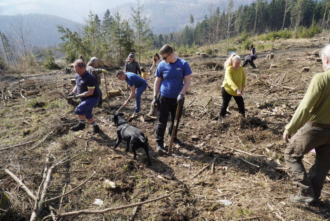 2022 Bäume für den Thüringer Wald